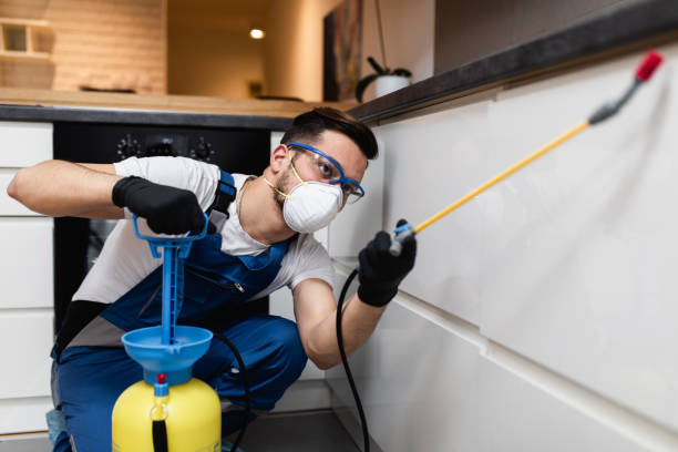 Best Ant Control Services  in Coudersport, PA