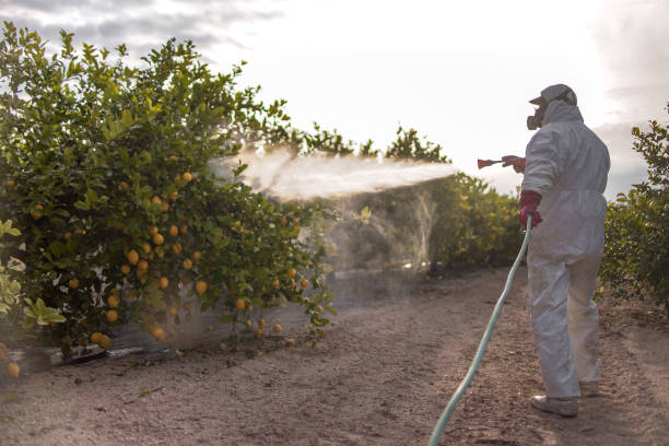 Best Best Pest Control Companies  in Coudersport, PA