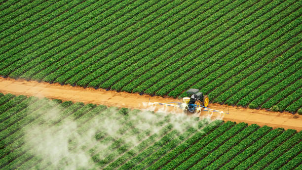 Pest Control Cost in Coudersport, PA