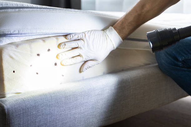 Best Pest Control for Homes  in Coudersport, PA
