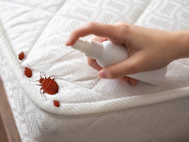 Best Bed Bug Extermination  in Coudersport, PA