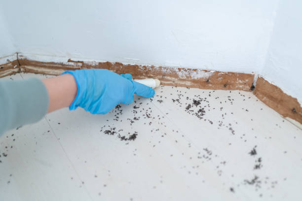 Coudersport, PA Pest Control Company